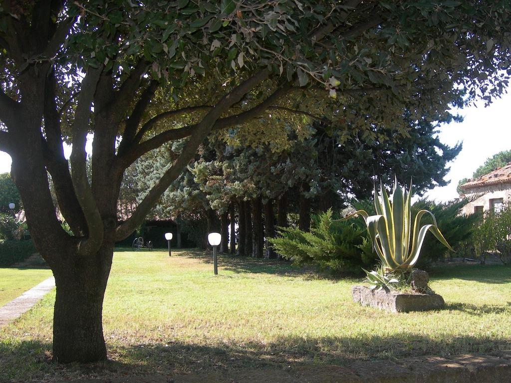 Tenuta Di Pontesodo Montalto di Castro Eksteriør billede