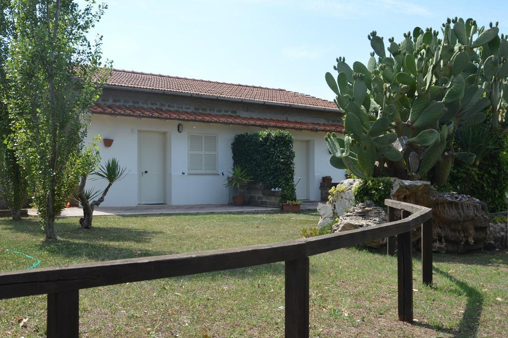 Tenuta Di Pontesodo Montalto di Castro Eksteriør billede
