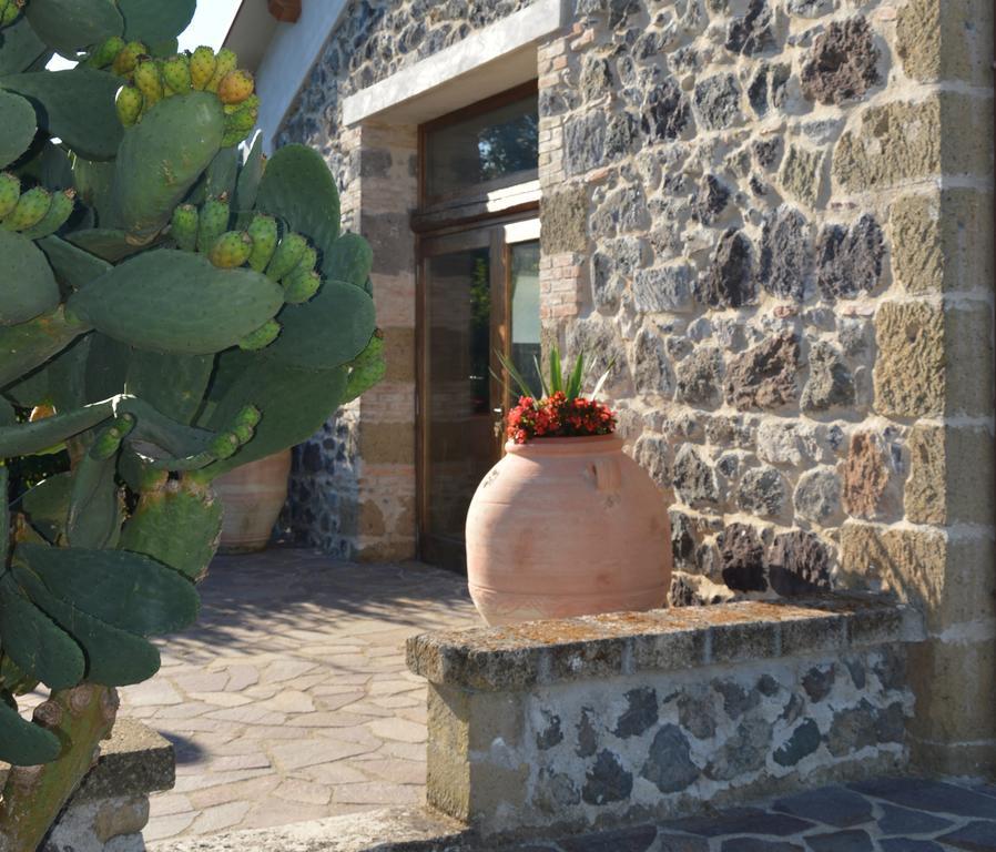 Tenuta Di Pontesodo Montalto di Castro Eksteriør billede