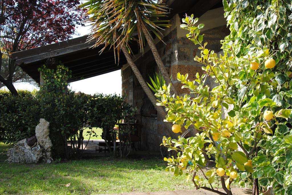 Tenuta Di Pontesodo Montalto di Castro Eksteriør billede